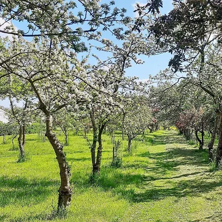 Holiday Xliv Tatil Evi